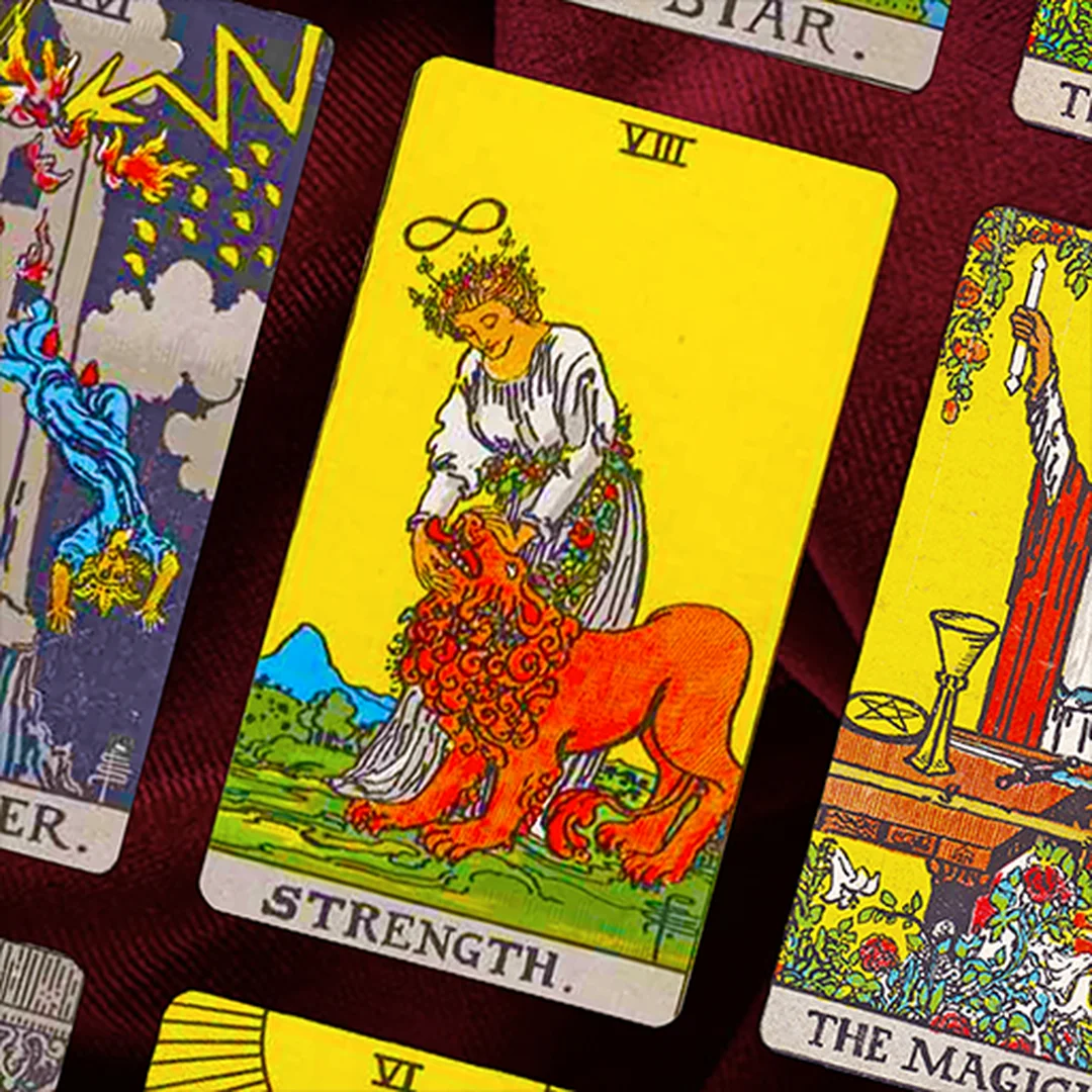 app học tarot trên điện thoại cho người mới học Tarot