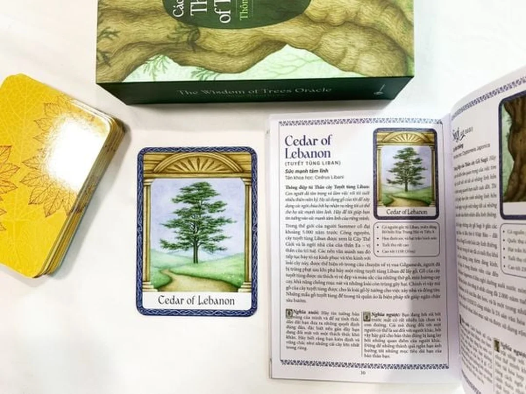 bài oracle đẹp chính hãng và deck indie cần kiểm tra chất lượng in