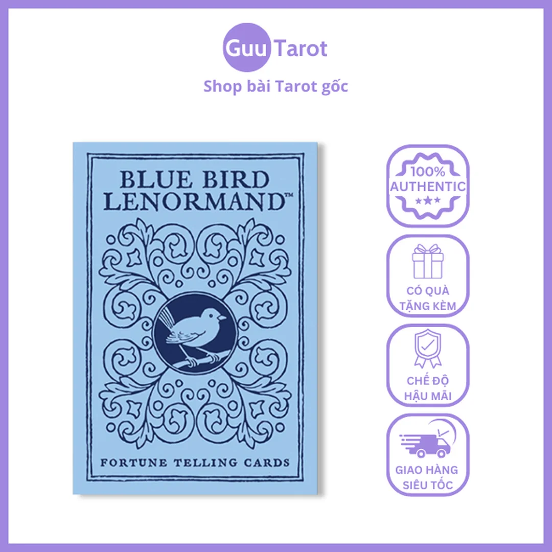 bài tarot gốc phong cách hiện đại cho người học Tarot
