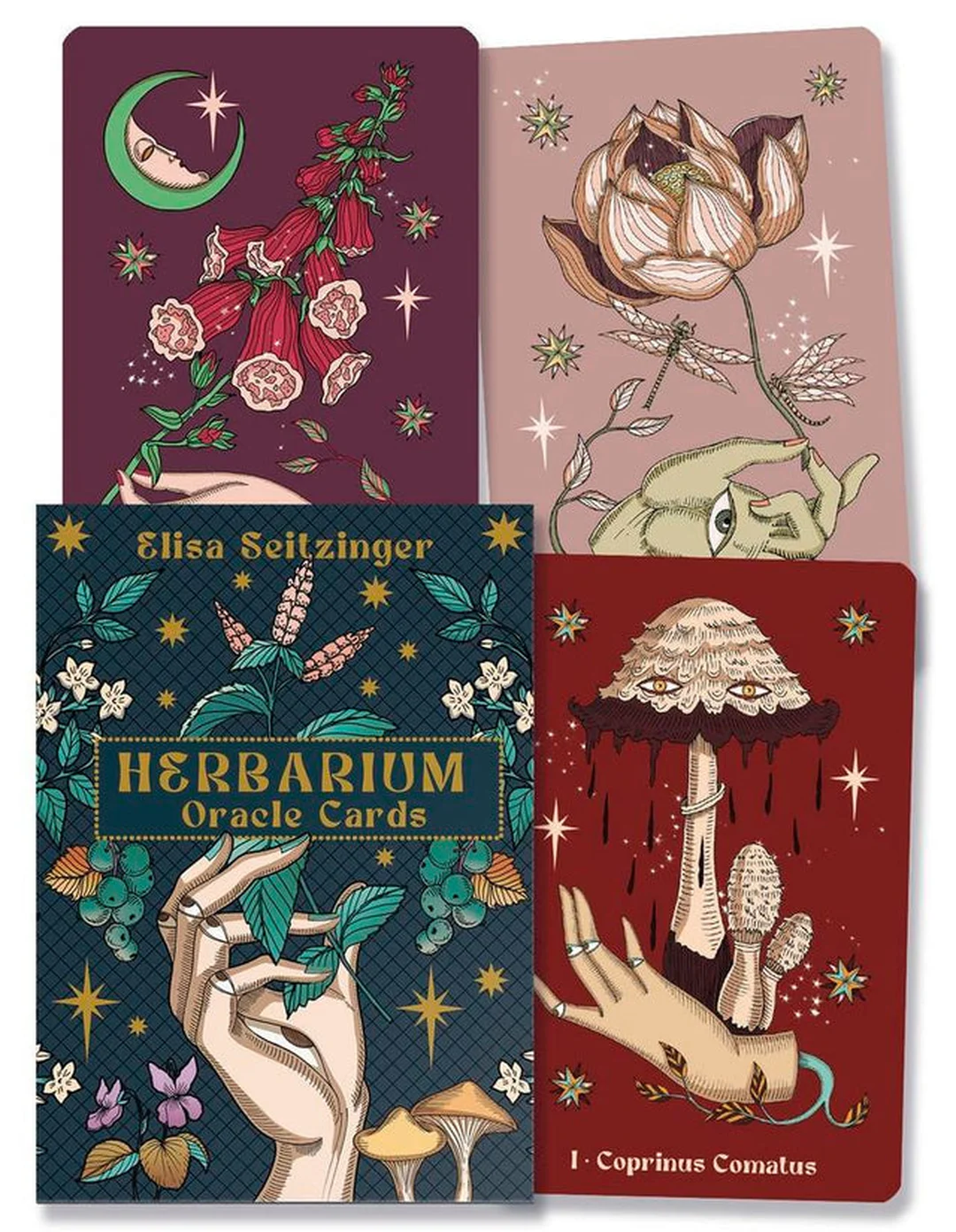 Bộ oracle cards mới phát hành kèm hộp và sách hướng dẫn
