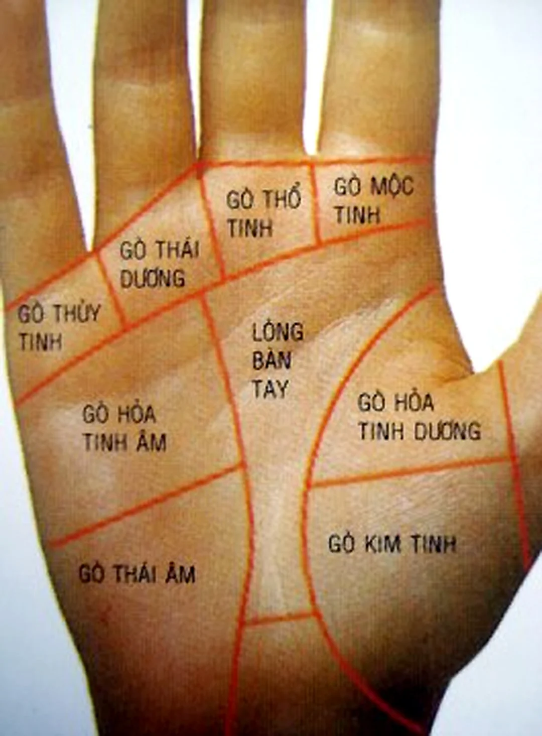 bói bài cửu huyền thất tổ và hình ảnh bài tây