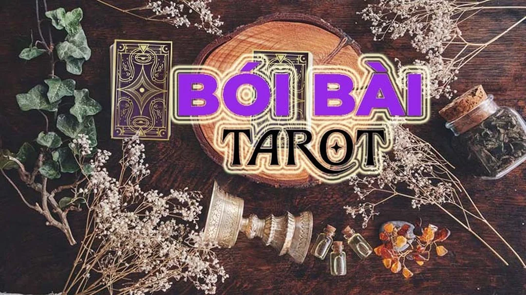 bói bài mẫu đơn với trải bài tarot hàng ngày