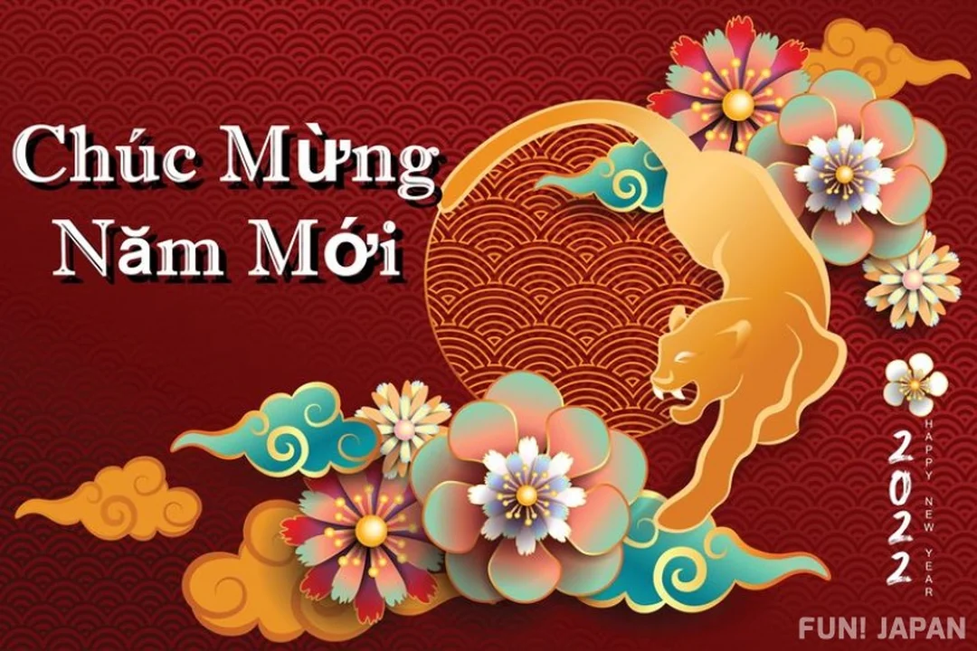 Bói bài tài lộc với bộ bài và không gian tập trung bói bài tài lộc với bộ bài và không gian tập trung