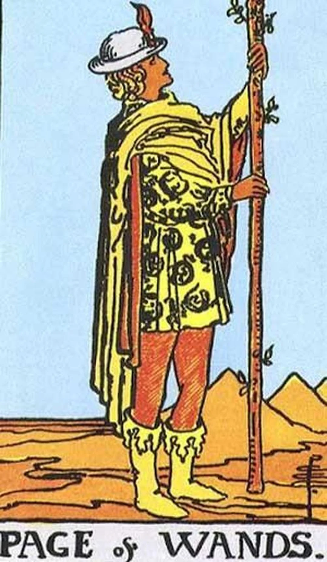 bói bài tarot về tiền bạc và cảnh báo rủi ro tài chính