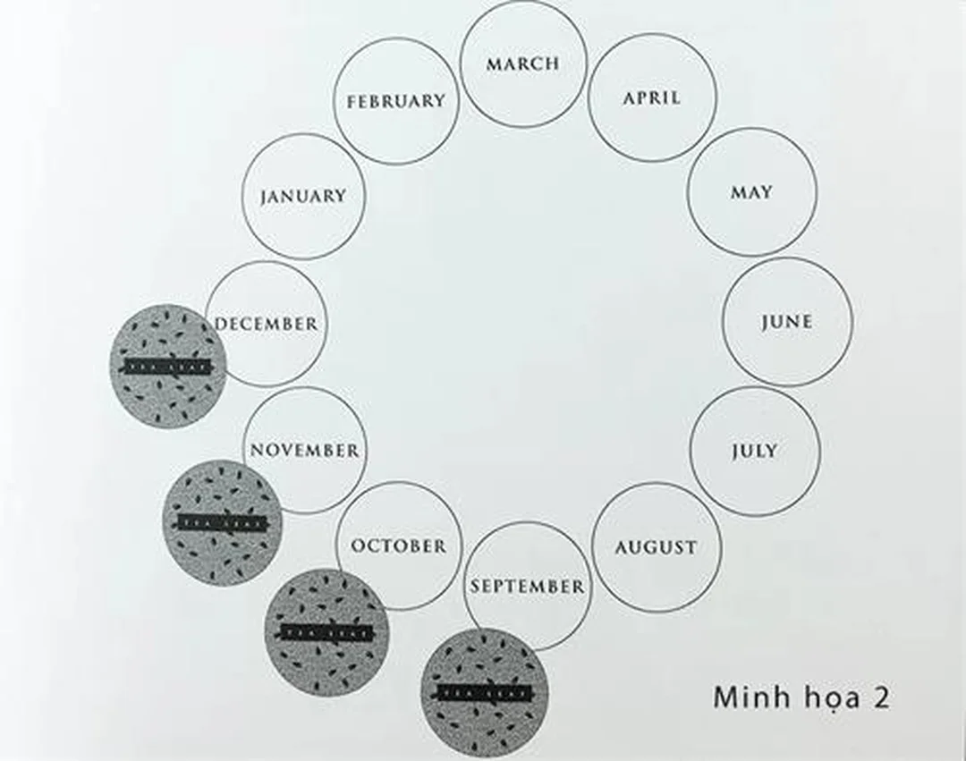 bói bài trà online với hình minh họa biểu tượng lá trà