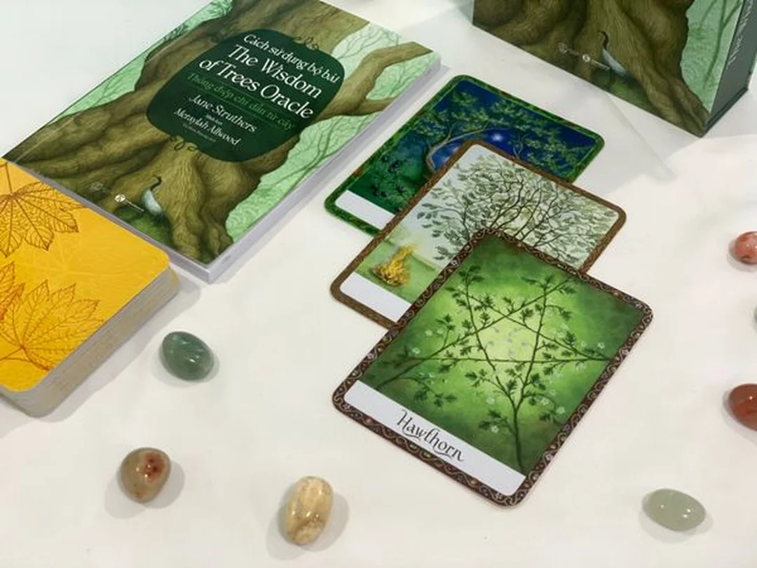 Các bộ bài oracle đẹp phong cách huyền bí các bộ bài oracle đẹp phong cách huyền bí cho người mới