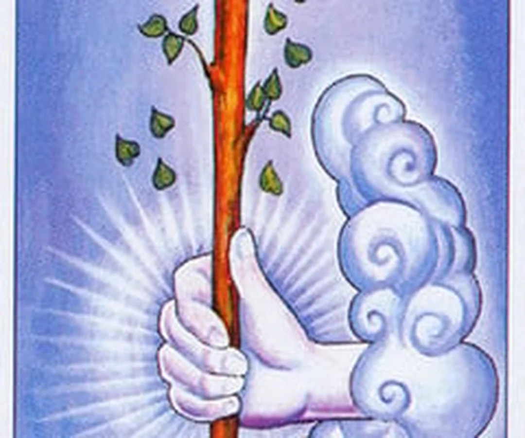 Ace of Wands trong các lá bài Tarot các la bài tarot Ace of Wands nói về khởi đầu và động lực