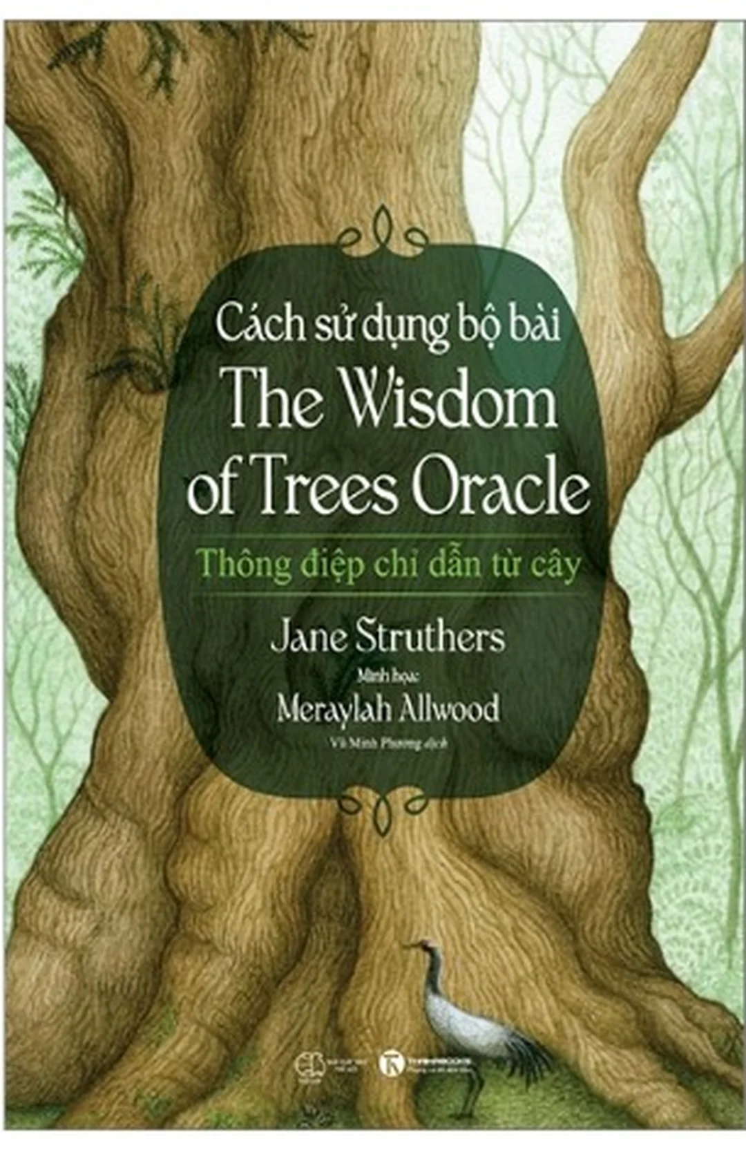 cách sử dụng oracle cards cho người mới bắt đầu