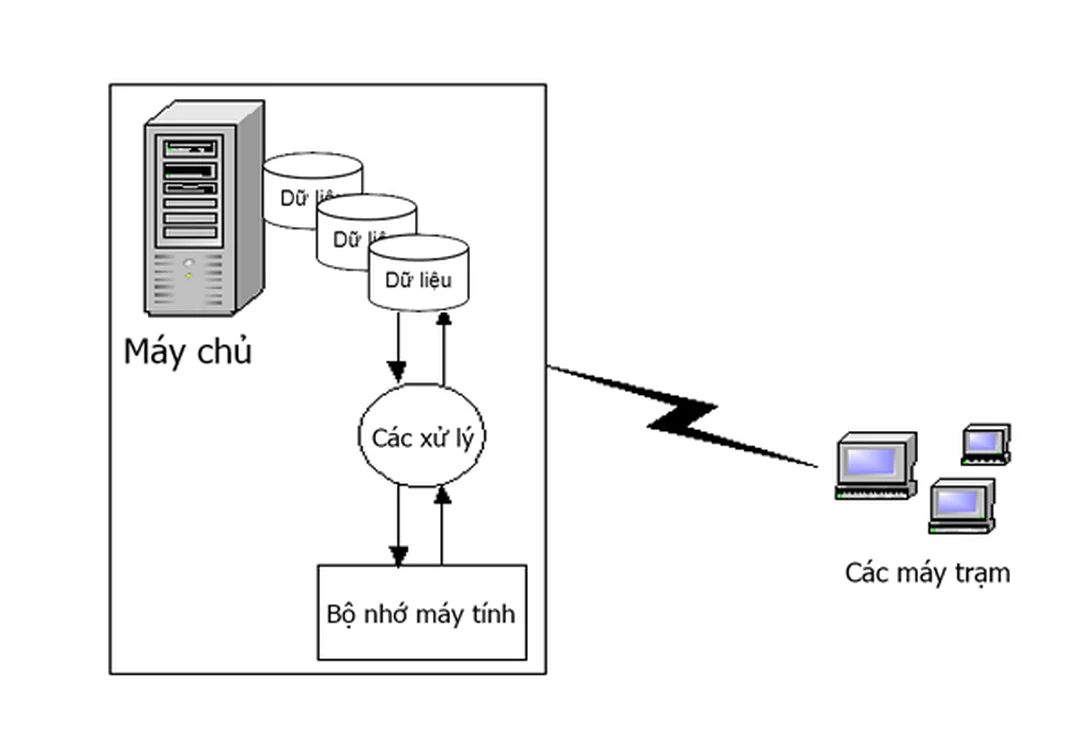 cách sử dụng oracle tránh nhầm với oracle database