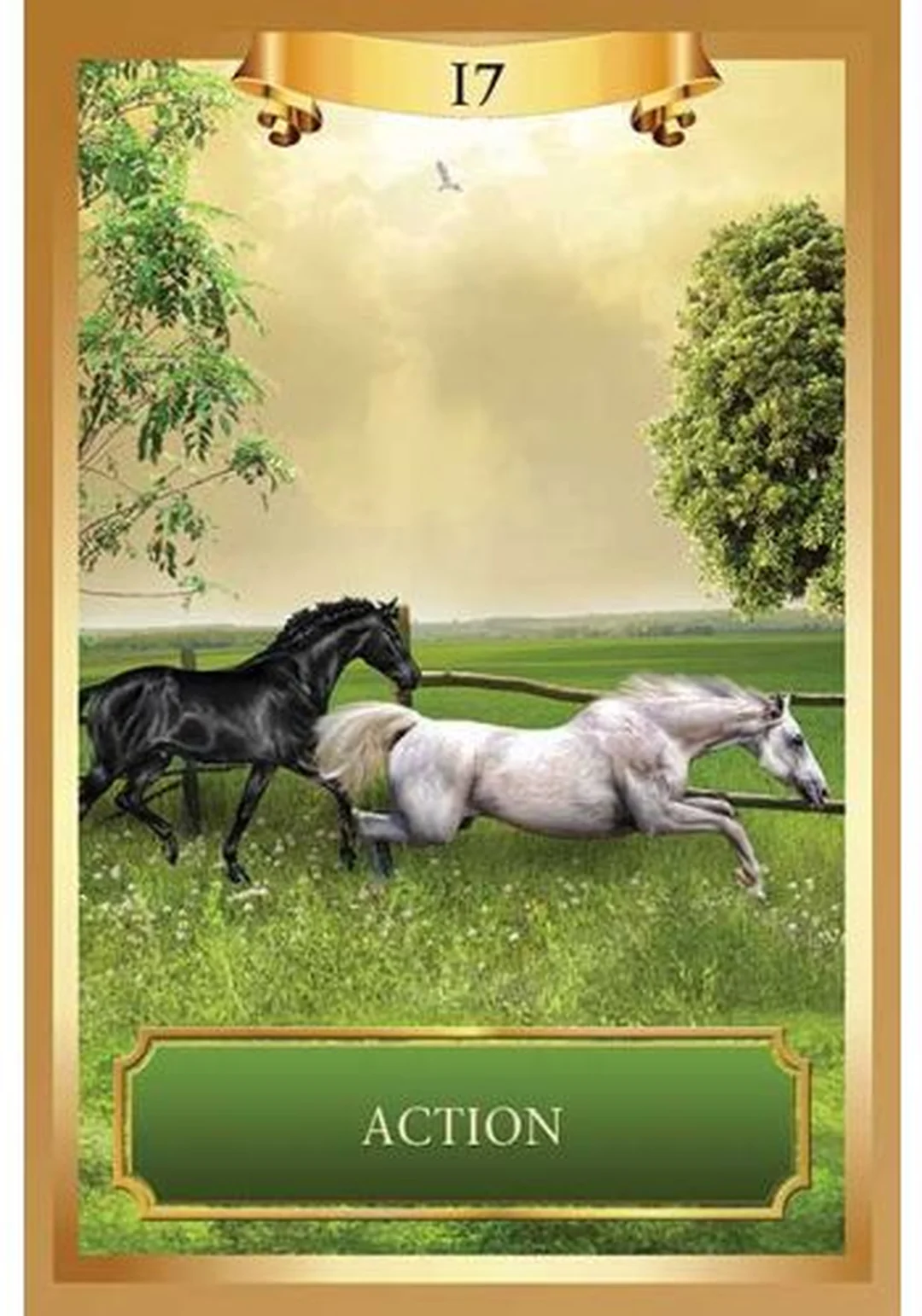 cận cảnh lá energy oracle cards dùng cho phần câu hỏi thường gặp