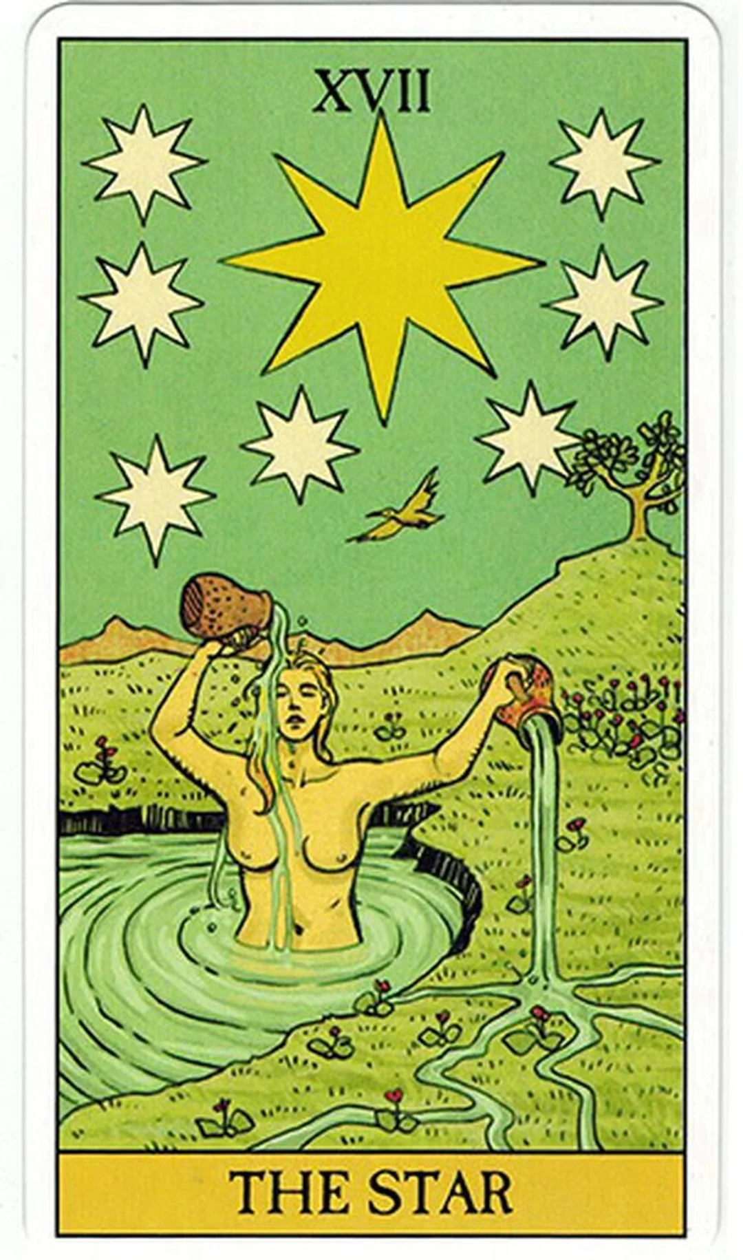 câu hỏi thường gặp khi rút bài tarot cho người mới
