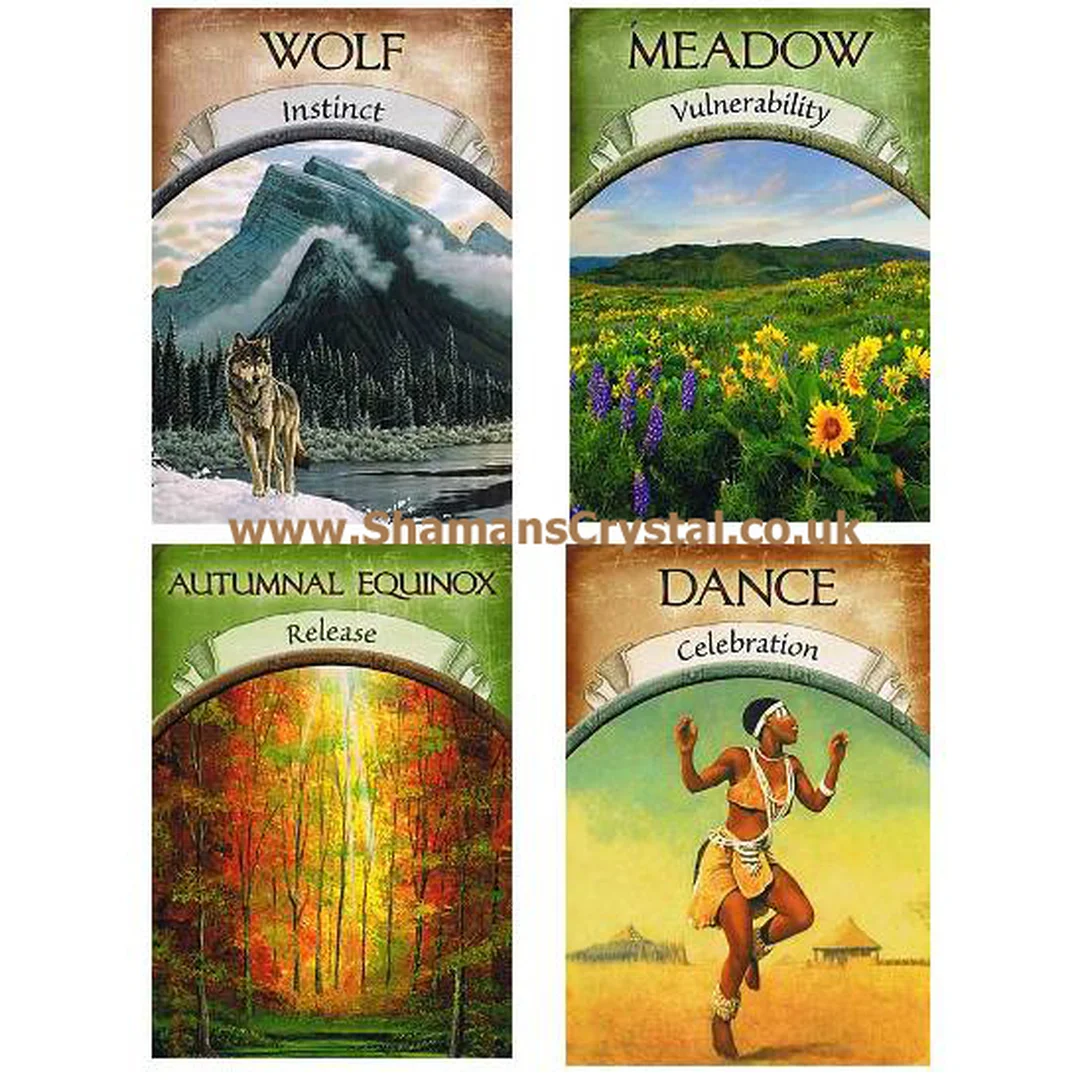 earth magic oracle cards trải bài 3 lá cho người mới