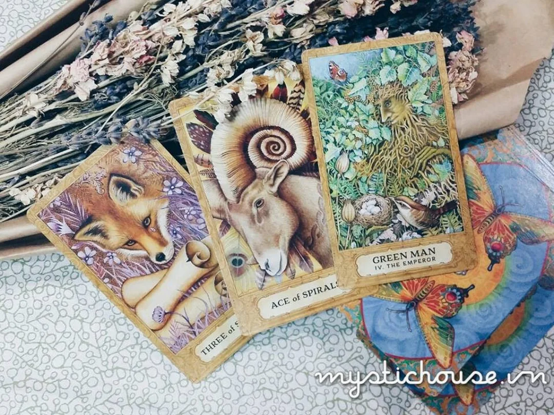 Hướng dẫn nhập môn Tarot cho người mới học