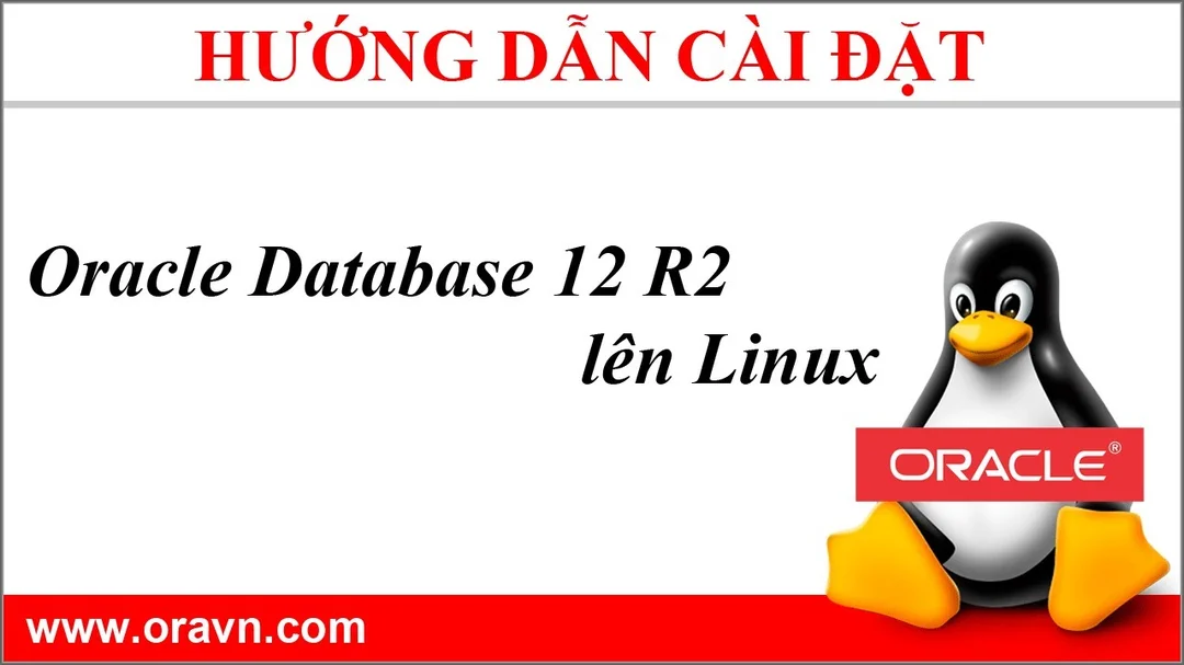 hướng dẫn oracle tránh sai lầm khi đọc bài