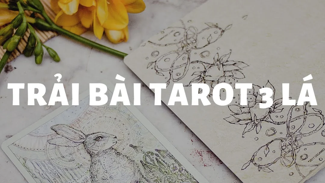Hướng dẫn trải bài Tarot 3 lá cho người mới