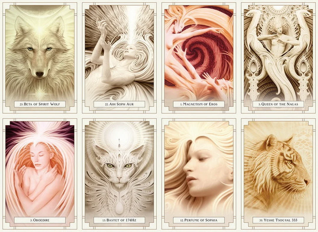 Light oracle cards trải bài và guidebook cho người mới