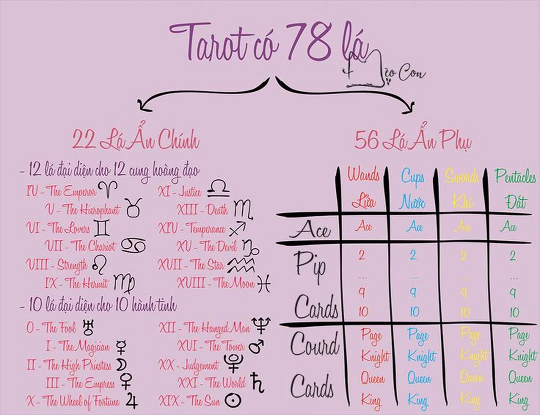 Lộ trình học bài tarot 30 ngày cho người mới