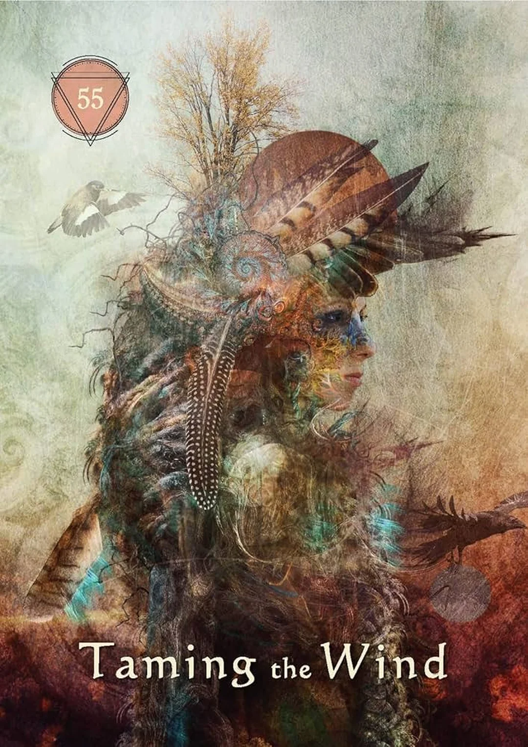 mystical shaman oracle cards hộp bài mặt trước