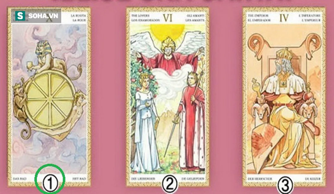nhiều lá bài tarot được xòe để kiểm tra hình ảnh và chất giấy