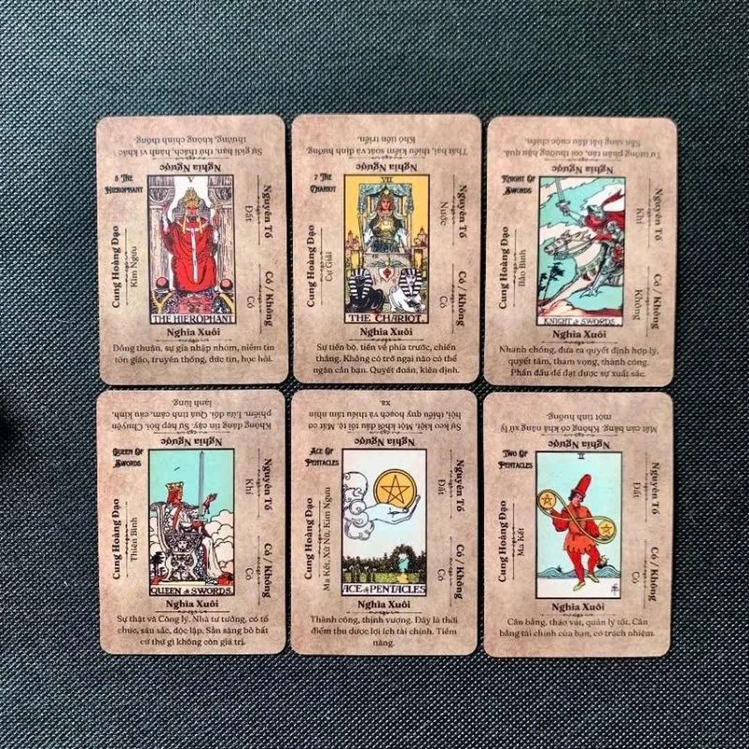 những bộ bài tarot dành cho người mới học với lộ trình luyện đọc 14 ngày