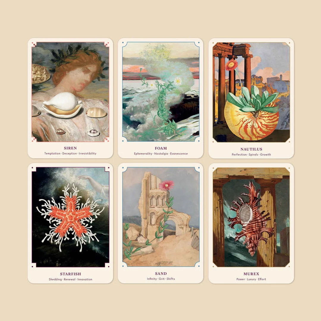 oracle card decks và câu hỏi thường gặp cho người mới