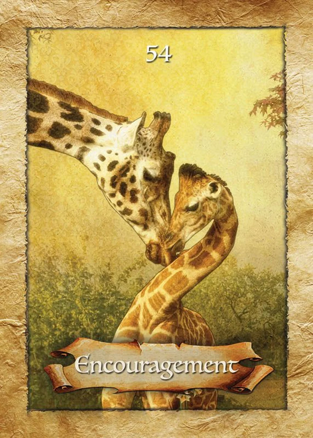 oracle cards online free với trải bài ba lá trực giác