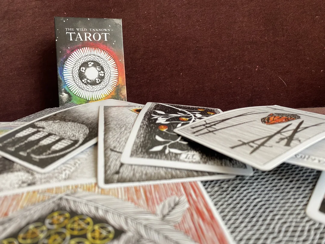 The Wild Unknown Tarot deck phiên bản đầy đủ với artwork động vật