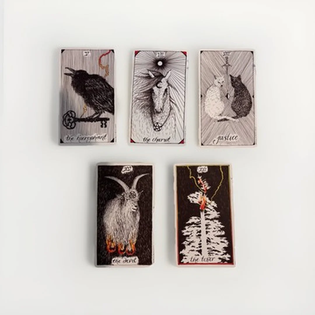the wild unknown tarot hộp bài cũ và lá bài minh họa