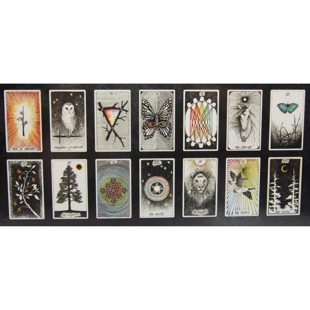 the wild unknown tarot review bản hộp chính hãng và lá bài