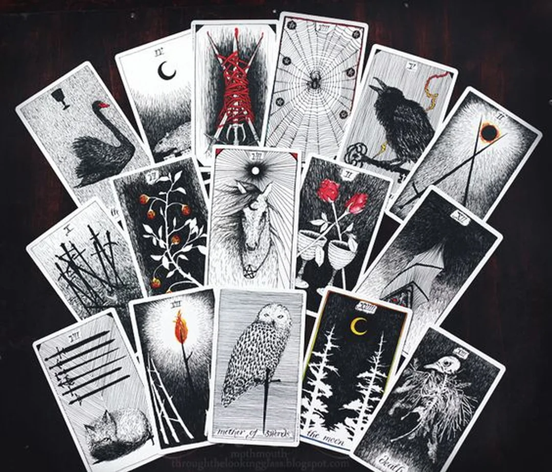 the wild unknown tarot review guidebook 208 trang