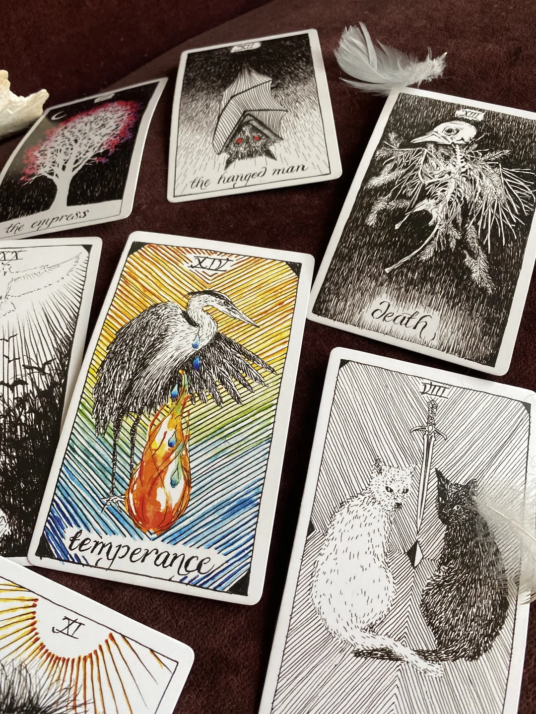 Trải bài Tarot với The Wild Unknown phong cách thiên nhiên