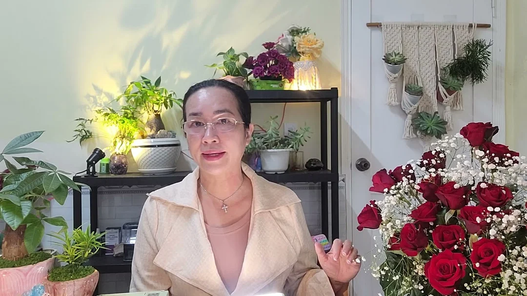 Video bói bài 24h tiếp theo