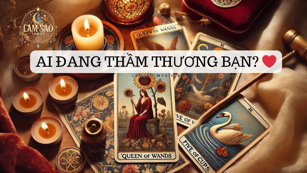 Video bói bài ai đang thầm thương bạn