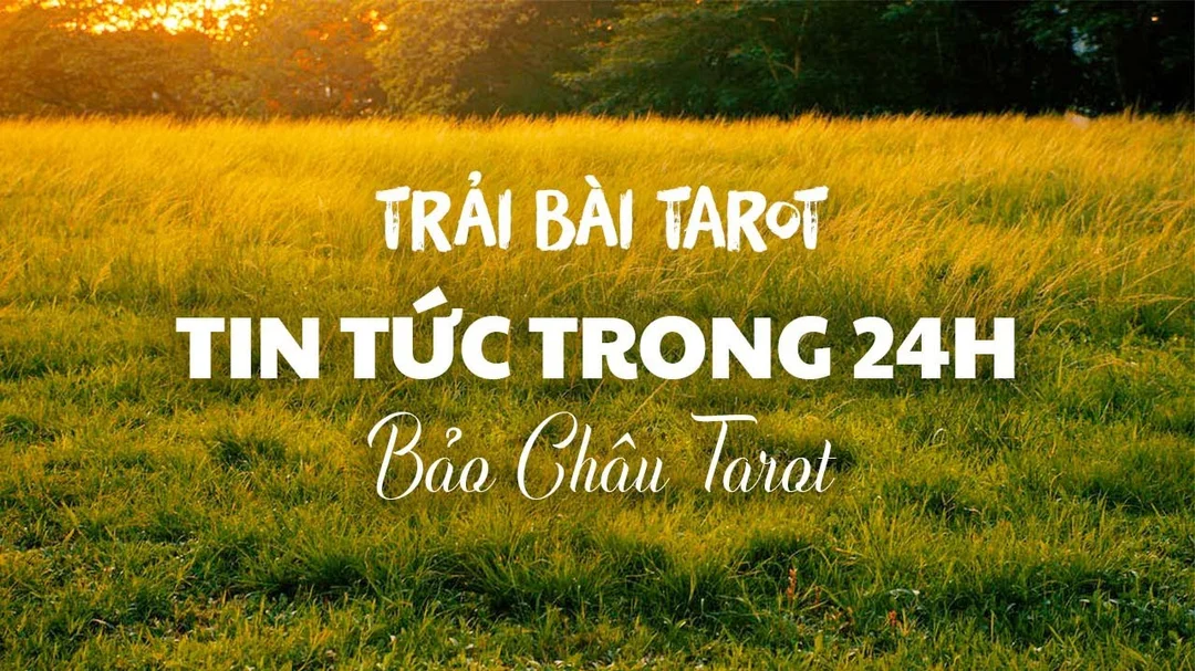 Video bói Tarot về tin tức trong 24 giờ tới