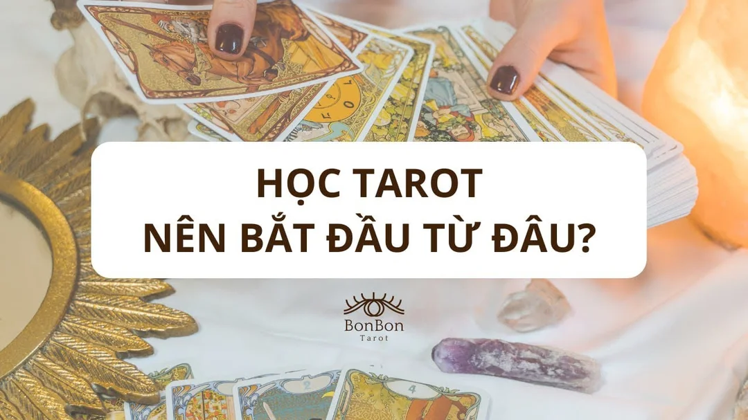Video học Tarot cho người mới bắt đầu