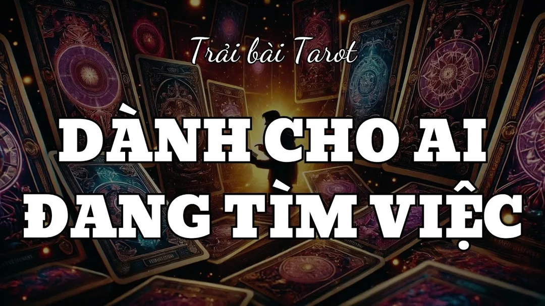 Video hướng dẫn bói tarot công việc khi đang tìm việc