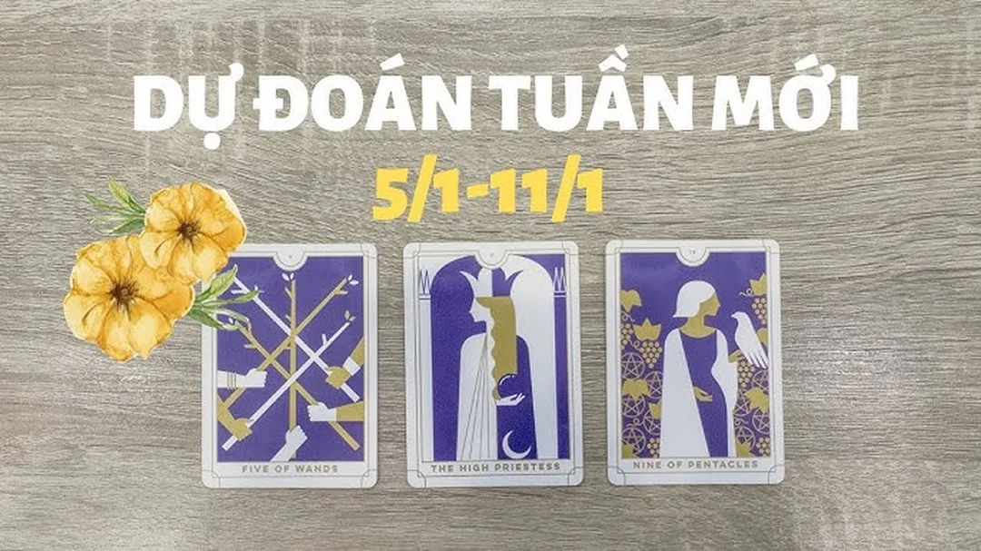 Video hướng dẫn chọn tụ bài Tarot hôm nay