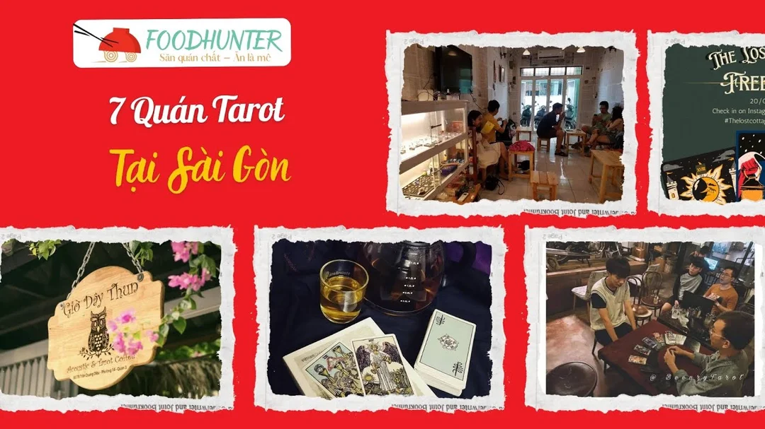Video hướng dẫn đọc bài Tarot cơ bản cho người mới