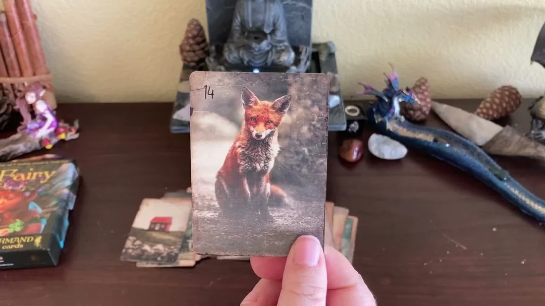 Video hướng dẫn đọc Lenormand Oracle Cards cho người mới