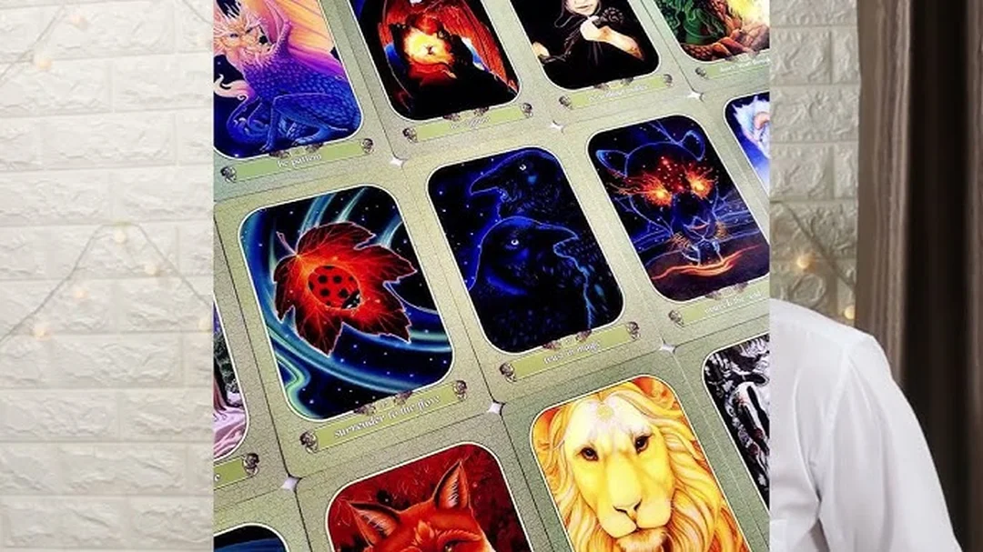Video hướng dẫn dùng Oracle cards cho người mới