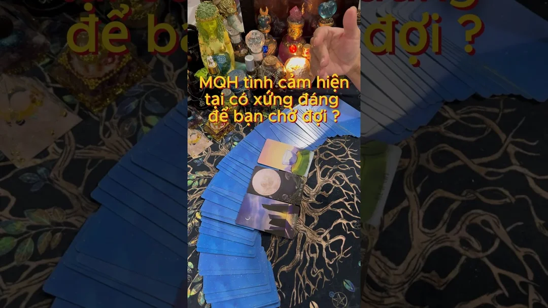 Video trải bài tarot tình yêu hiện tại về cảm xúc và hành động tiếp theo