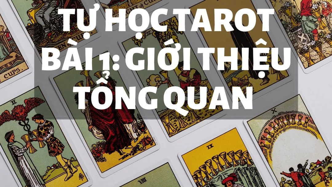 Video tự học Tarot cho người mới bắt đầu