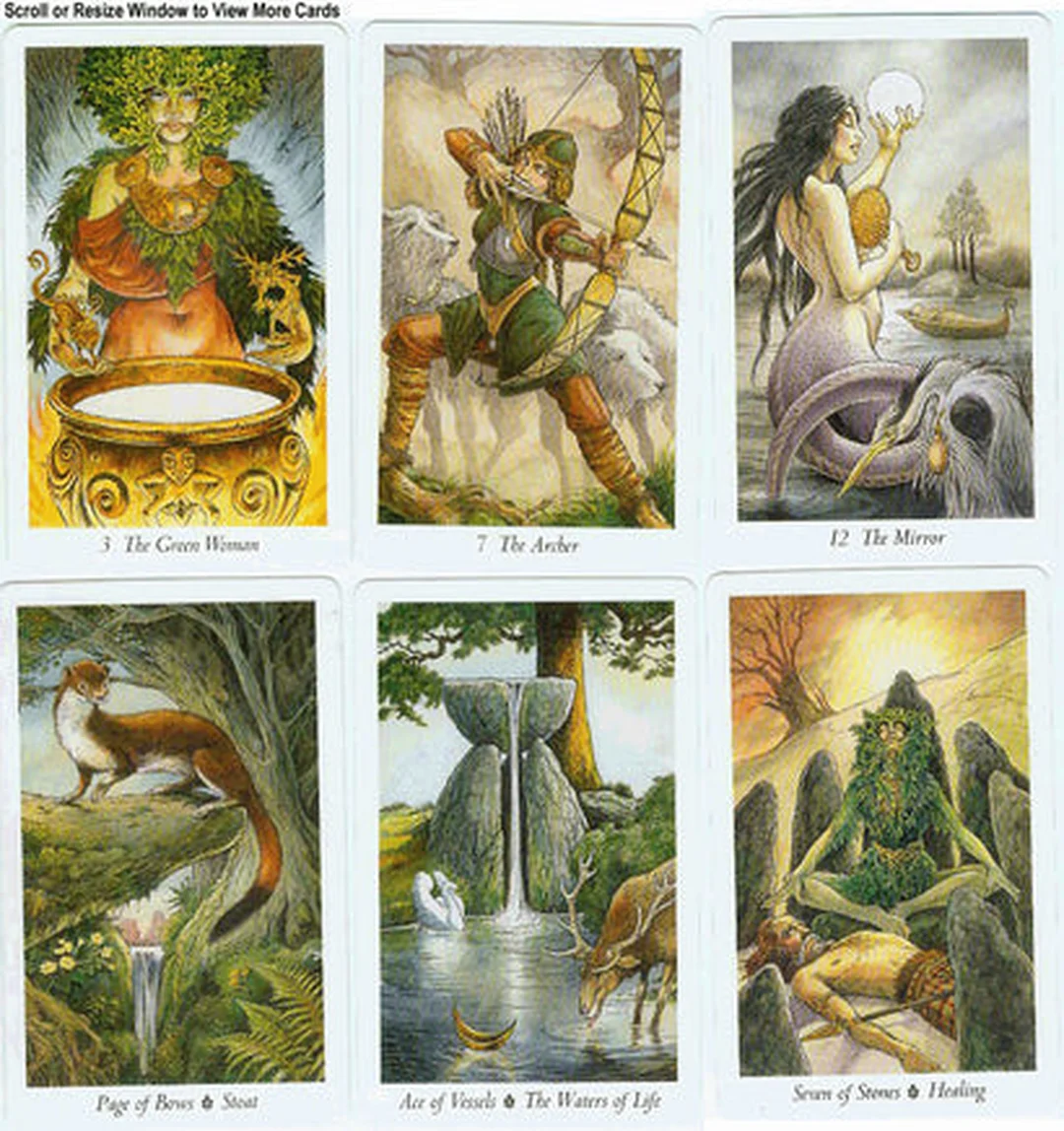 wildwood tarot deck ảnh sản phẩm hộp bài