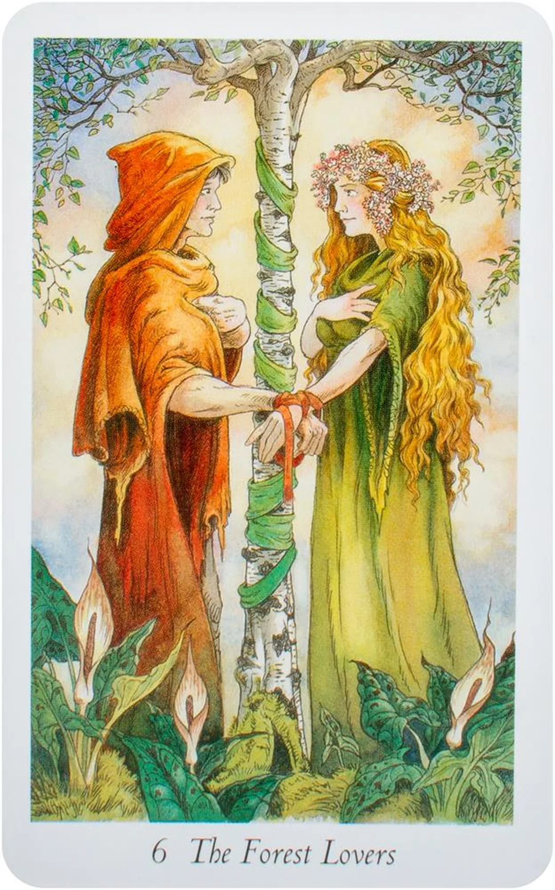 wildwood tarot deck các lá bài minh họa chi tiết