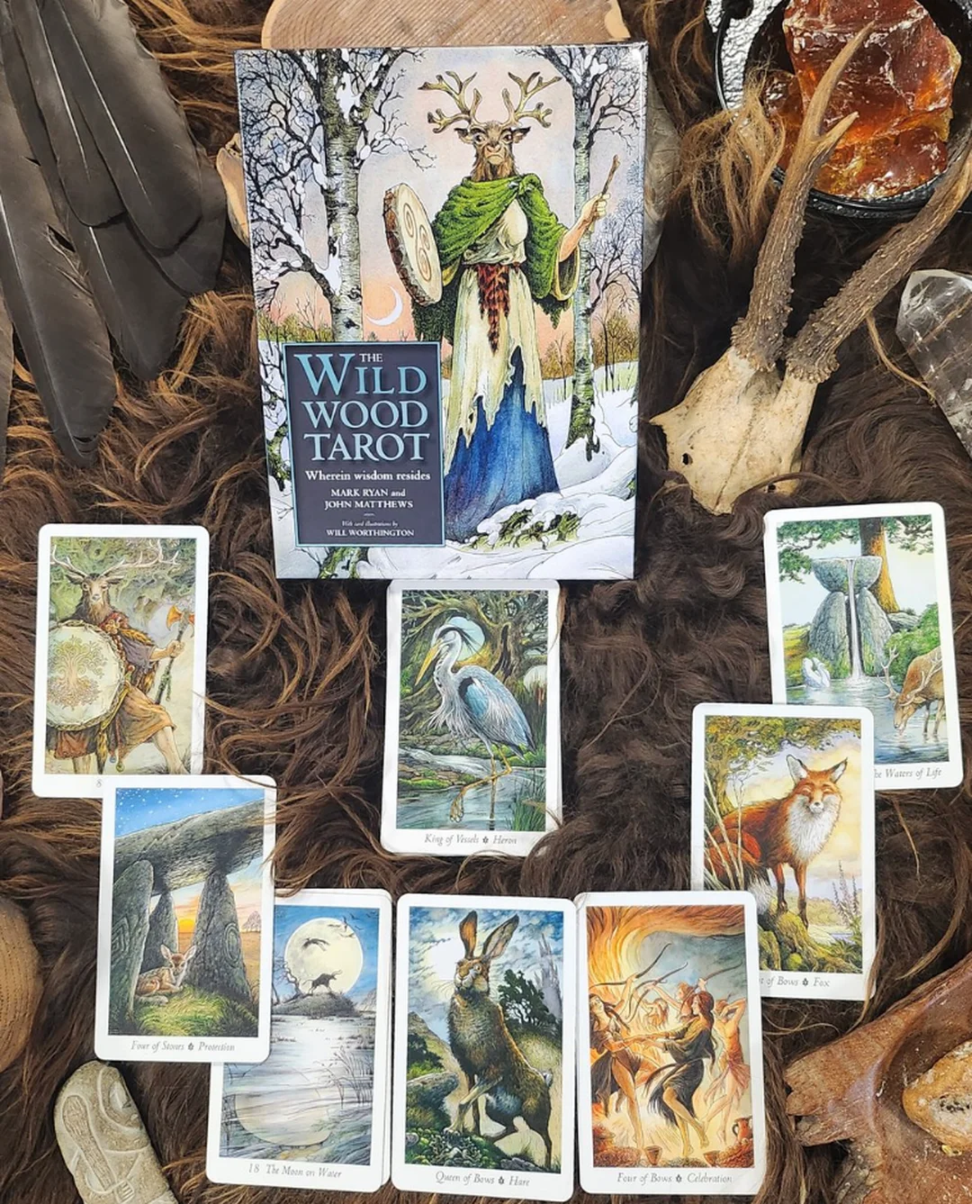 wildwood tarot deck phiên bản The Wild Wood Tarot